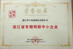 浙江省專精特新中小企業(yè)